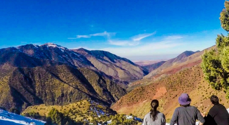 Marrakech to Atlas Mountains Tour: Hike, Waterfall & Berber Lunch Morocco &mdash; #12