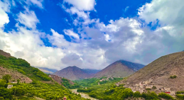 Marrakech to Atlas Mountains Tour: Hike, Waterfall & Berber Lunch Morocco &mdash; #13