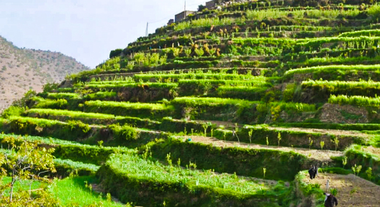 Marrakech to Atlas Mountains Tour: Hike, Waterfall & Berber Lunch Morocco &mdash; #14