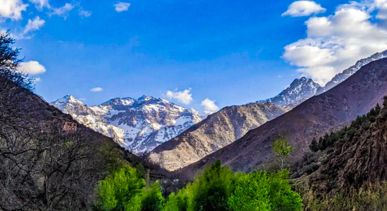 Marrakech to Atlas Mountains Tour: Hike, Waterfall & Berber Lunch Morocco &mdash; #17