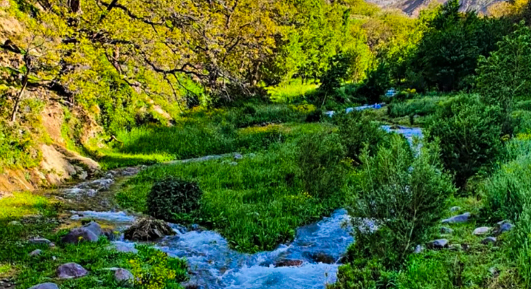 Marrakech to Atlas Mountains Tour: Hike, Waterfall & Berber Lunch Morocco &mdash; #18