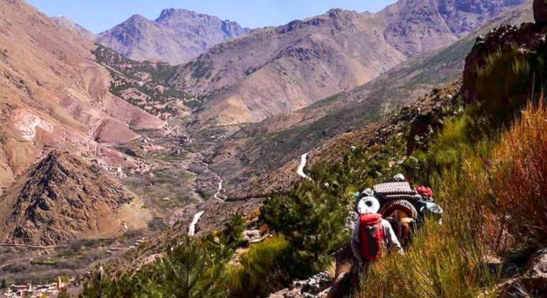 Marrakech to Atlas Mountains Tour: Hike, Waterfall & Berber Lunch Morocco &mdash; #19