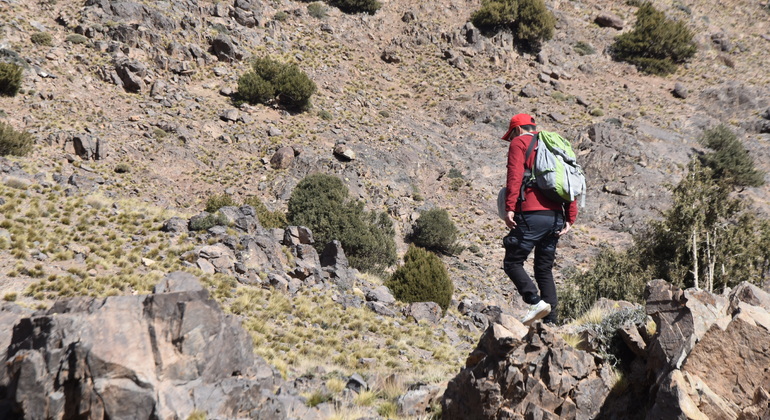 Marrakech to Atlas Mountains Tour: Hike, Waterfall & Berber Lunch Morocco &mdash; #21