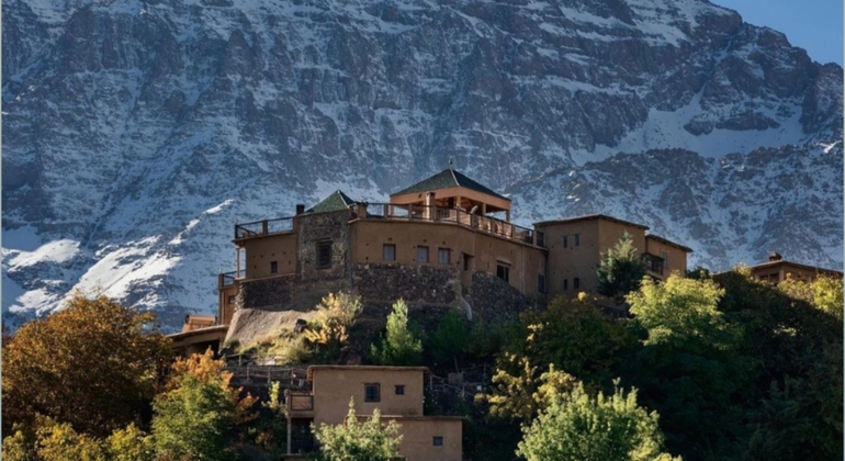 Marrakech to Atlas Mountains Tour: Hike, Waterfall & Berber Lunch Morocco &mdash; #22