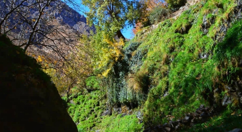 Marrakech to Atlas Mountains Tour: Hike, Waterfall & Berber Lunch Morocco &mdash; #24