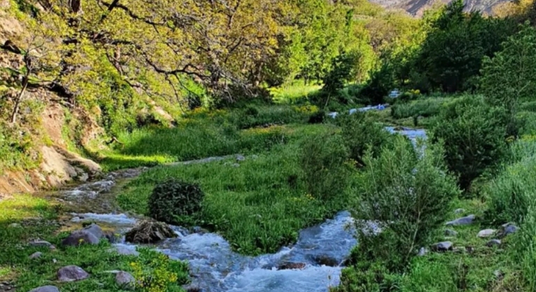 Marrakech to Atlas Mountains Tour: Hike, Waterfall & Berber Lunch Morocco &mdash; #25