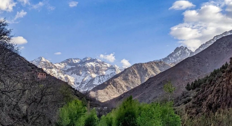 Marrakech to Atlas Mountains Tour: Hike, Waterfall & Berber Lunch Morocco &mdash; #26