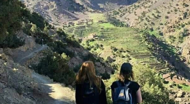 Marrakech to Atlas Mountains Tour: Hike, Waterfall & Berber Lunch Morocco &mdash; #27