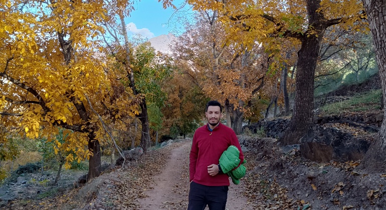 Marrakech to Atlas Mountains Tour: Hike, Waterfall & Berber Lunch Morocco &mdash; #28