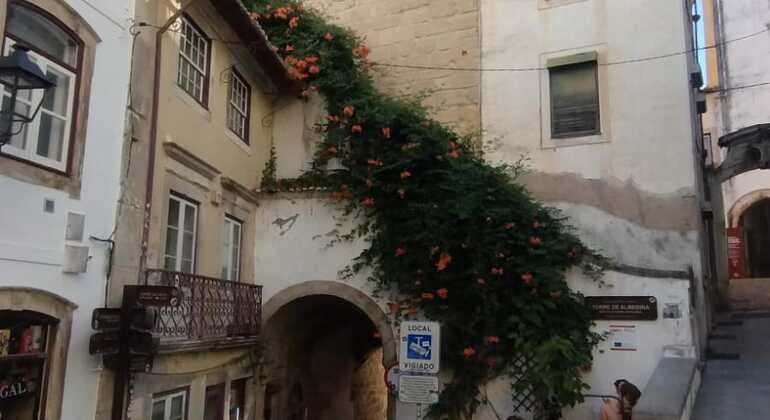 Coimbra Free Tour Must-See Places Provided by TheWalkingTour 