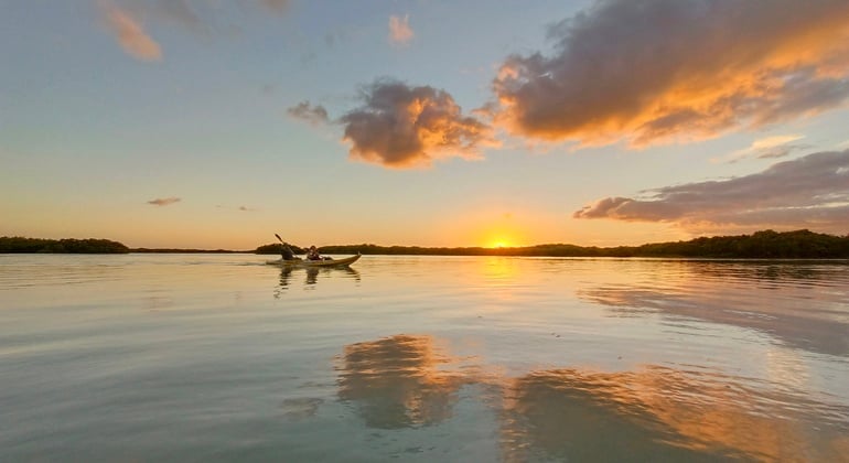 Merida Tour: Ecotouristic Kayaking
