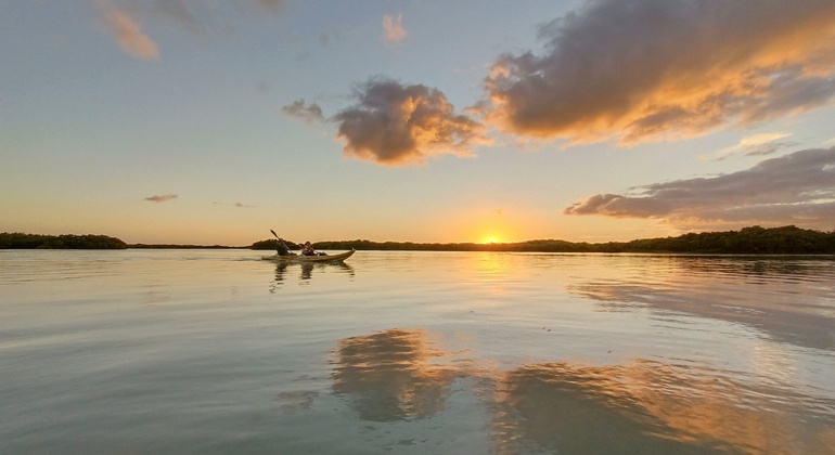 Merida-Tour: Kajak-Ökotourismus, Mexico