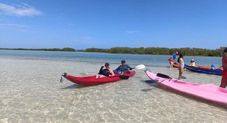 Excursão a Mérida: Ecoturismo em caiaque México &mdash; #4