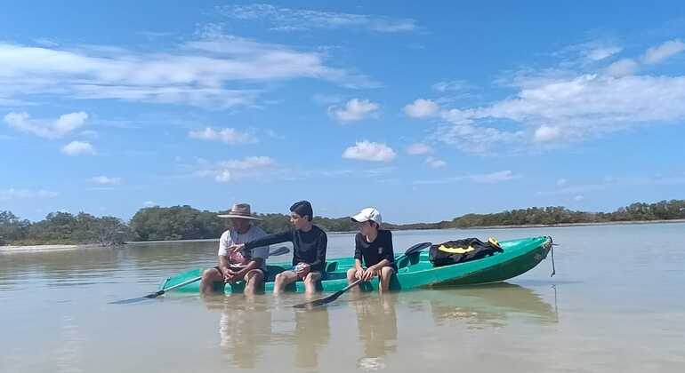 Excursão a Mérida: Ecoturismo em caiaque México &mdash; #5