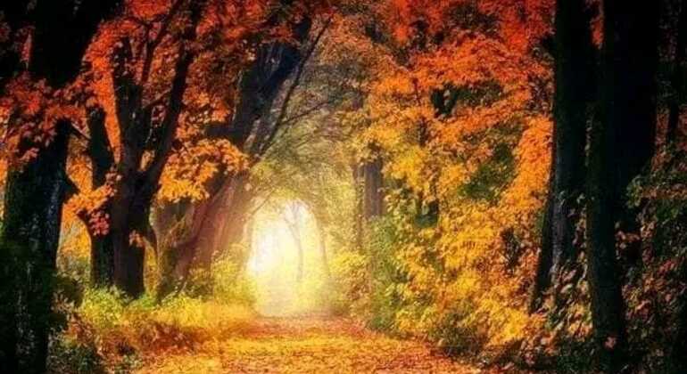 tour-de-historia-y-naturaleza-por-mar-del-plata-en-1