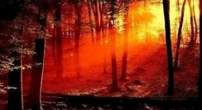 tour-de-historia-y-naturaleza-por-mar-del-plata-en-2