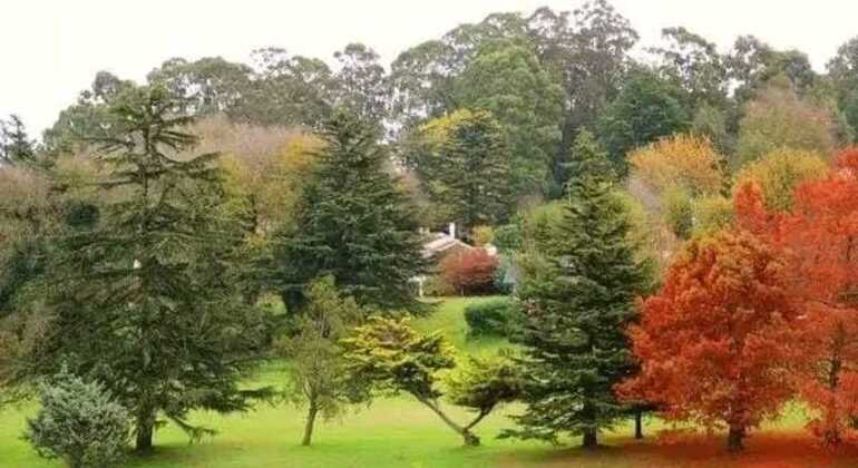 tour-de-historia-y-naturaleza-por-mar-del-plata-en-3