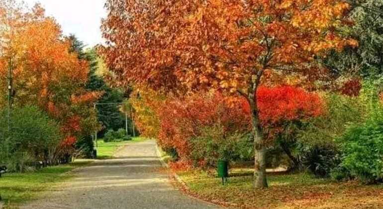 tour-de-historia-y-naturaleza-por-mar-del-plata-en-4