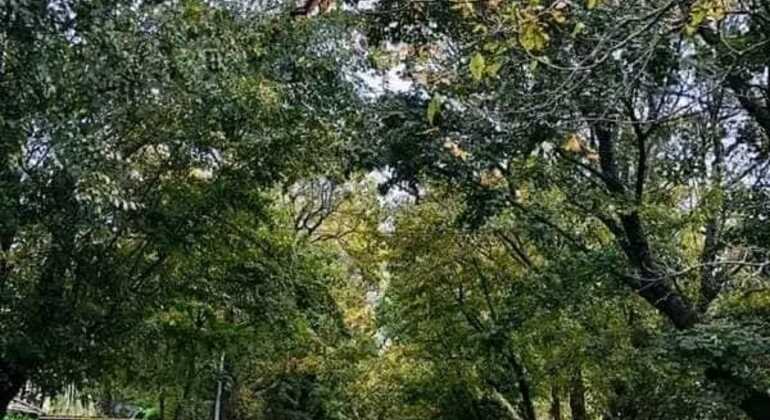 tour-de-historia-y-naturaleza-por-mar-del-plata-en-5