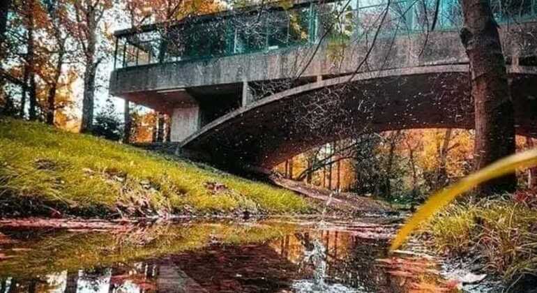 tour-de-historia-y-naturaleza-por-mar-del-plata-en-7