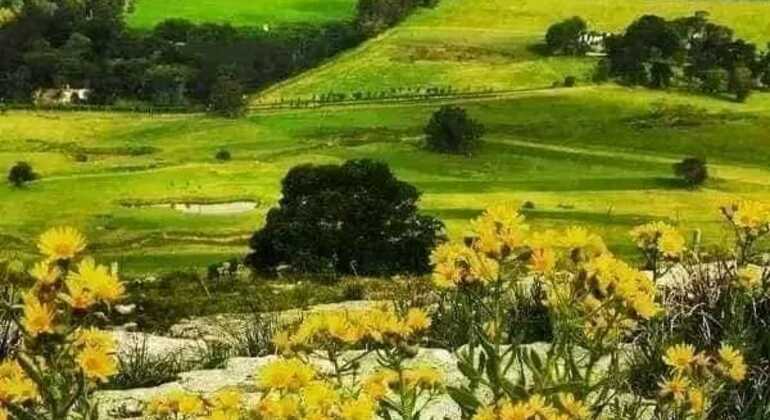 tour-de-historia-y-naturaleza-por-mar-del-plata-en-11