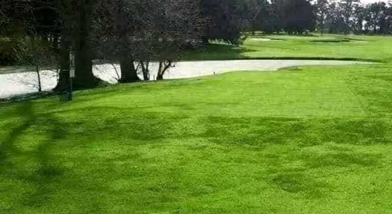 tour-de-historia-y-naturaleza-por-mar-del-plata-en-13