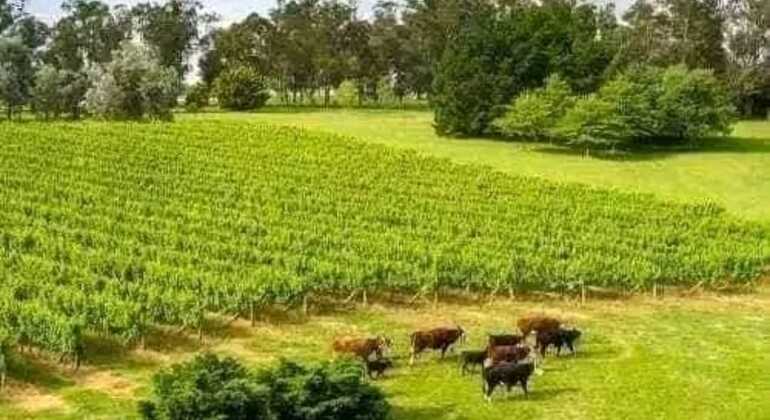 tour-de-historia-y-naturaleza-por-mar-del-plata-en-16