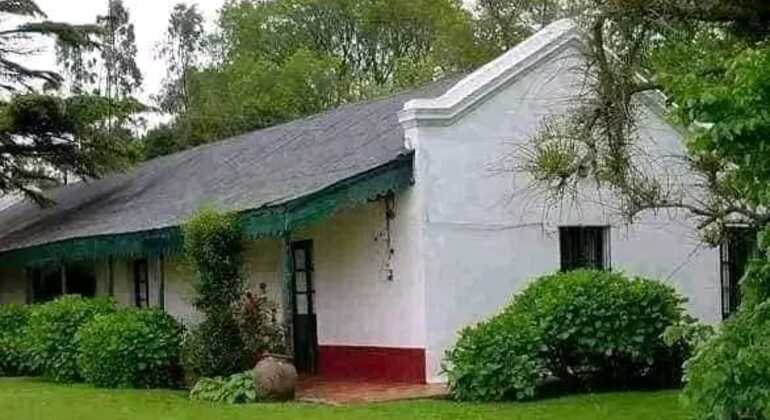 tour-de-historia-y-naturaleza-por-mar-del-plata-en-17