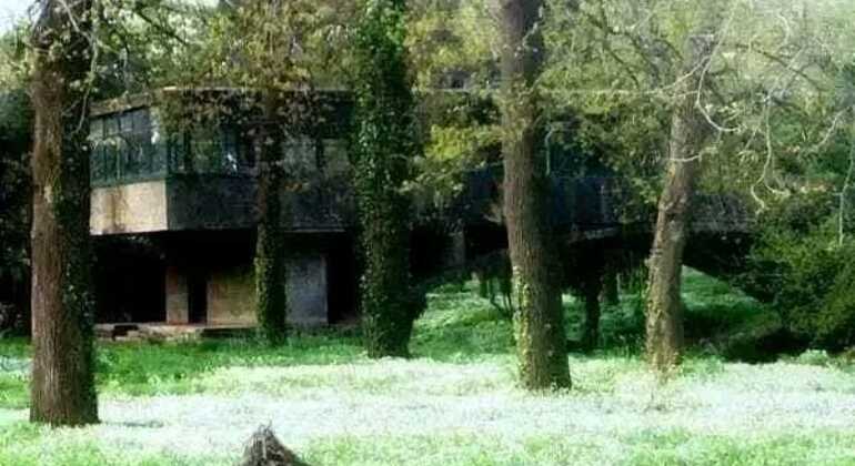 tour-de-historia-y-naturaleza-por-mar-del-plata-en-18