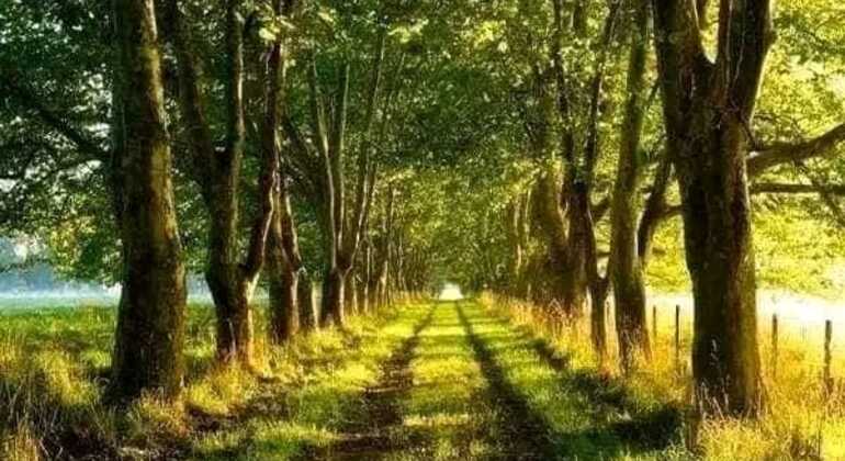 tour-de-historia-y-naturaleza-por-mar-del-plata-en-19