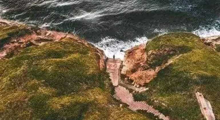 tour-de-historia-y-naturaleza-por-mar-del-plata-en-21