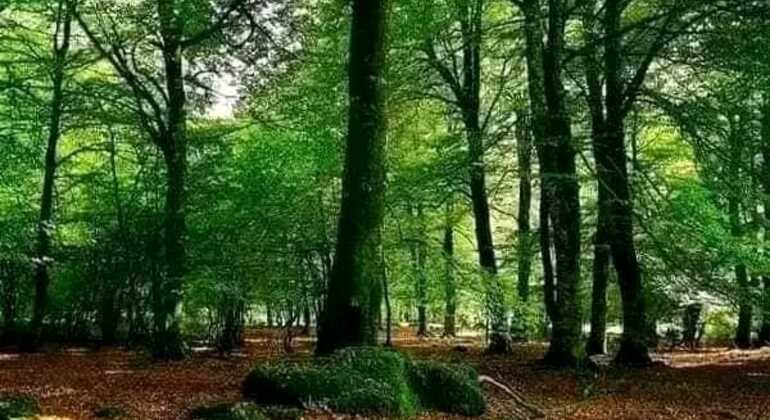 tour-de-historia-y-naturaleza-por-mar-del-plata-en-24