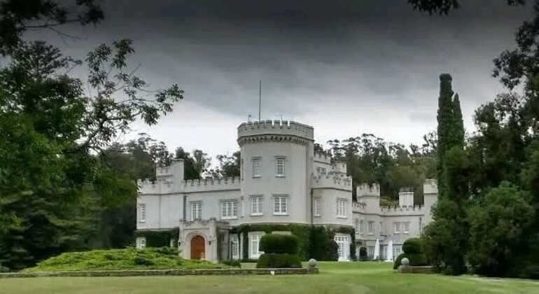 tour-de-historia-y-naturaleza-por-mar-del-plata-en-28