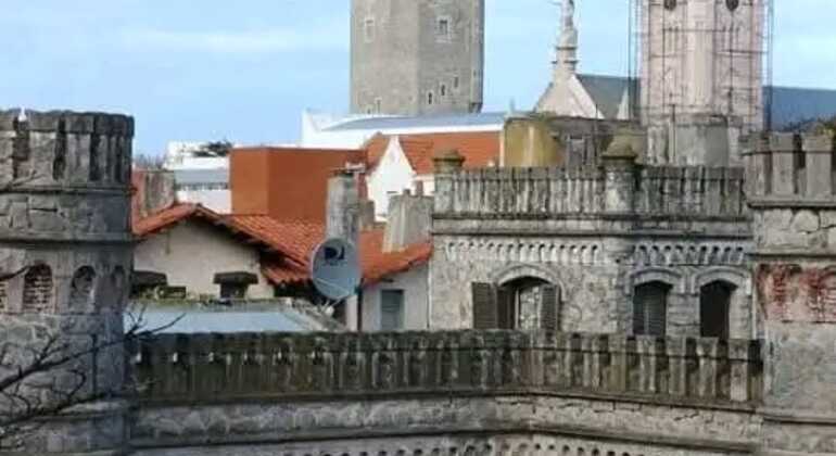 tour-de-historia-y-naturaleza-por-mar-del-plata-en-30