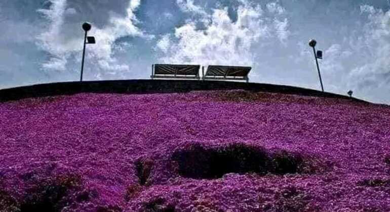 tour-de-historia-y-naturaleza-por-mar-del-plata-en-35