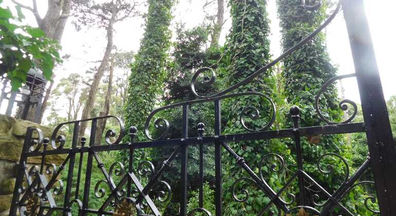 tour-de-historia-y-naturaleza-por-mar-del-plata-en-38