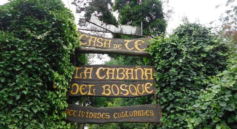 tour-de-historia-y-naturaleza-por-mar-del-plata-en-40