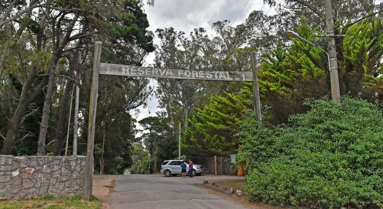 tour-de-historia-y-naturaleza-por-mar-del-plata-en-43