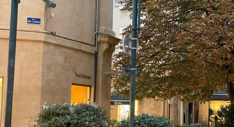 Aix-en-Provence: Imperial History Guided Tour France &mdash; #2