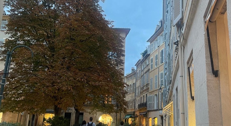 Aix-en-Provence: Imperial History Guided Tour, France