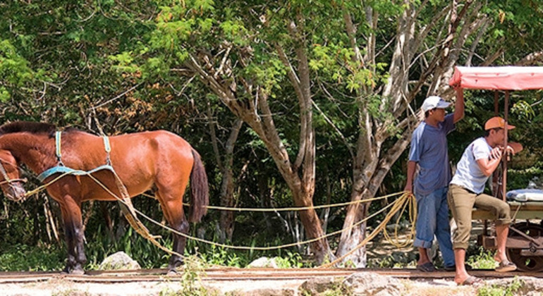 Ecotourism Tour To Cenotes Mexico &mdash; #2