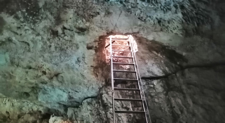 Ecotourism Tour To Cenotes Mexico &mdash; #3