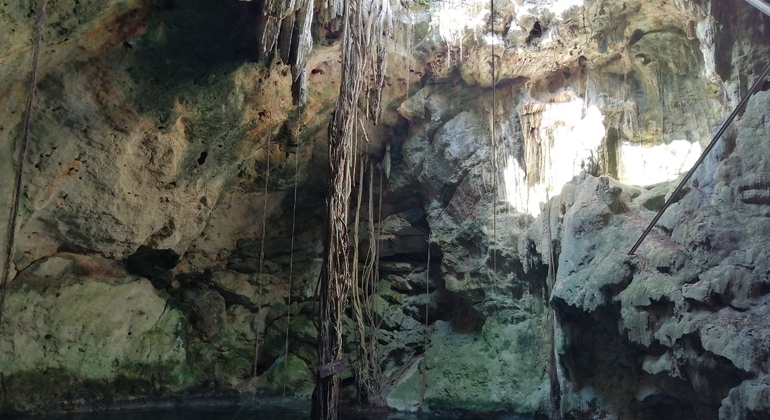 Ecotourism Tour To Cenotes Mexico &mdash; #5