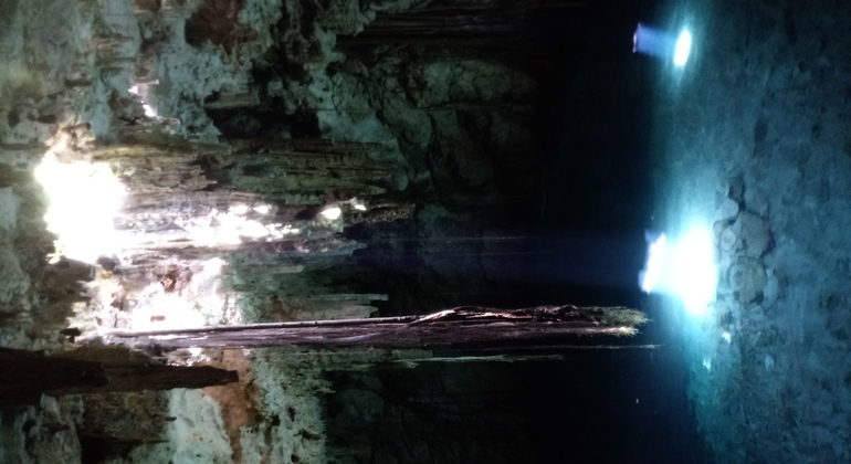 Ecotourism Tour To Cenotes Mexico &mdash; #7