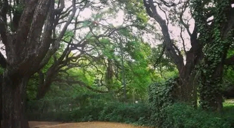 Tour Privado de História e Natureza em Buenos Aires Argentina &mdash; #3