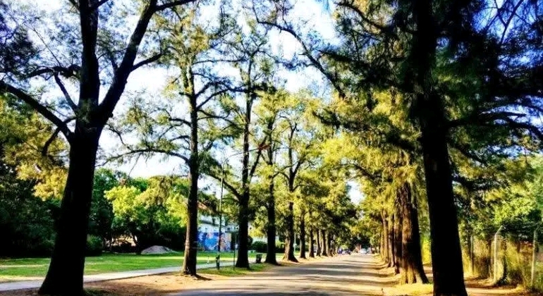 Tour Privado de História e Natureza em Buenos Aires Argentina &mdash; #5