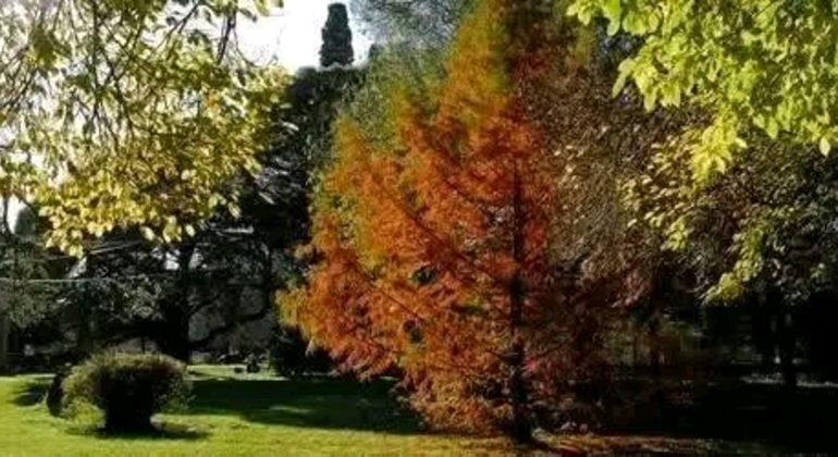 Tour Privado de História e Natureza em Buenos Aires Argentina &mdash; #7