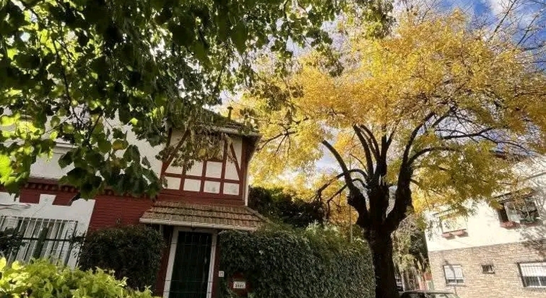 Tour Privado de História e Natureza em Buenos Aires Argentina &mdash; #8