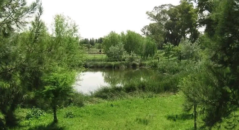 Tour Privado de História e Natureza em Buenos Aires Argentina &mdash; #12