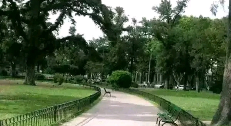 Tour Privado de História e Natureza em Buenos Aires Argentina &mdash; #13